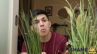 Mary Brawn - The Accountantess